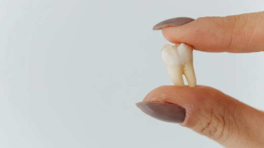 A tooth held between two fingers