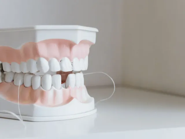 Dental model with floss, illustrating a professional teeth cleaning